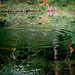 Sue Springer Photo 14