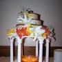 Jenny Potts Photo 19