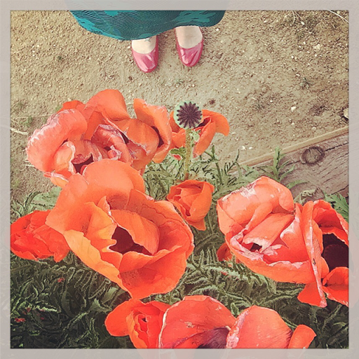 Amanda Schell Photo 5