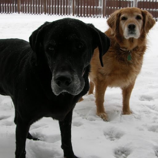 Julia Davis Photo 16 Julia Davis Photo 16