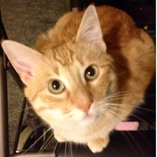 Eric Whitaker Photo 8