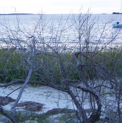 Gail Evans Photo 10 Gail Evans Photo 10