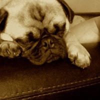 Jo Matthews Photo 17