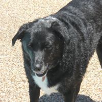 Peggy Moody Photo 20