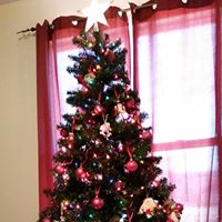 Theresa Block Photo 4