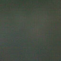 Donna Young Photo 13 Donna Young Photo 13