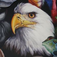 Nicholas Sweet Photo 9