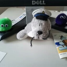 Julia Burdick Photo 9