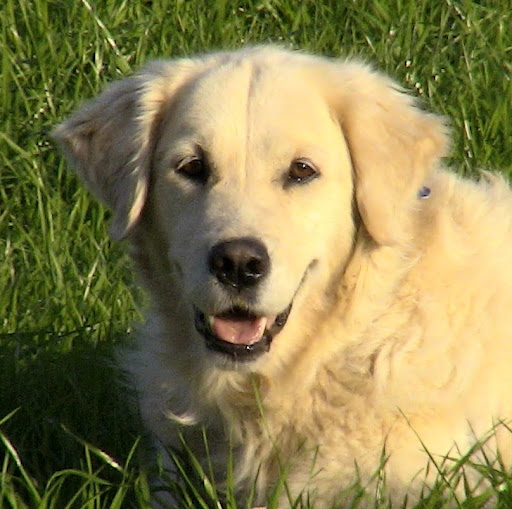 Michele Larosa Photo 18