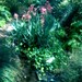Alice Keck Photo 8