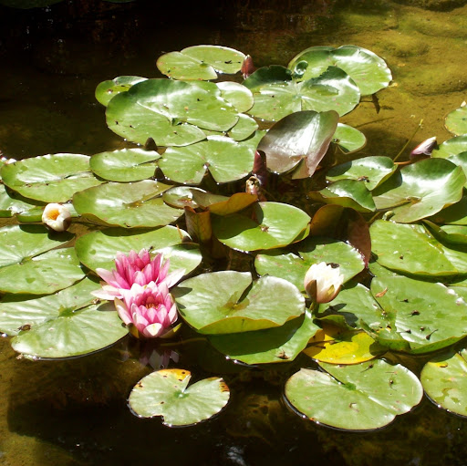 Julie Reimer Photo 28