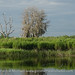Katherine Payne Photo 16