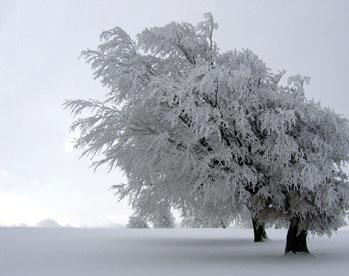 April Heflick Photo 1