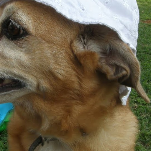 Julia Rosenberg Photo 32