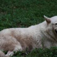 Mary Brunner Photo 20