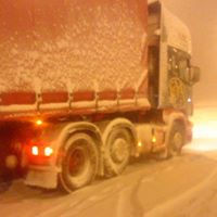 Alan Strong Photo 41