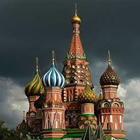 Susan Pittman Photo 19