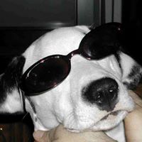 David Kaminski Photo 41