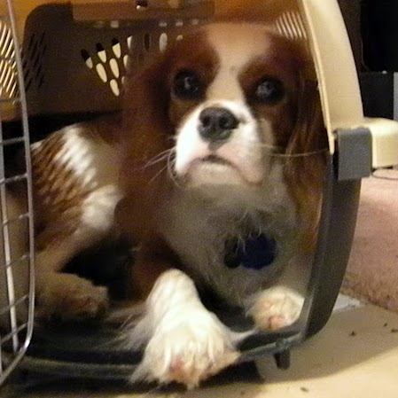 Rachel Pendleton Photo 6