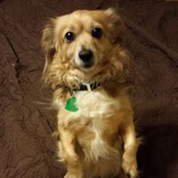 David Elder Photo 37