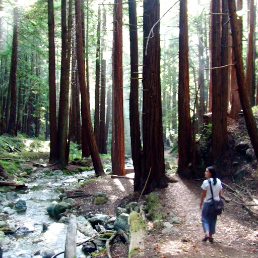 Sarah Berger Photo 16 Sarah Berger Photo 16