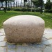 Yue Zhang Photo 28