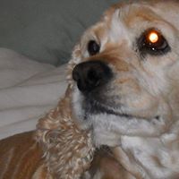 Carole Rowe Photo 31