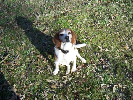 Deborah Tuttle Photo 24