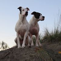 Gina Walter Photo 23