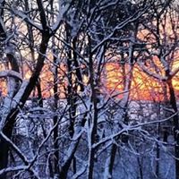 Kim Halverson Photo 15