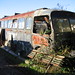 Richard Weed Photo 9