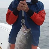 Mark Sherer Photo 25