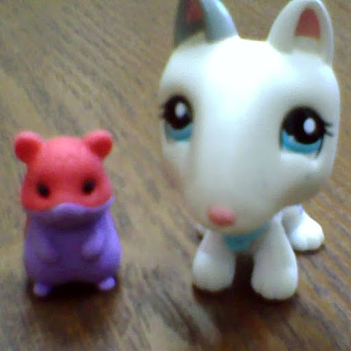 Colleen Connor Photo 16