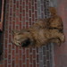 Stanley Chien Photo 21