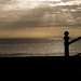 Dawn Bray Photo 17