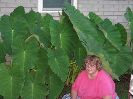 Barbara Watson Photo 34