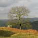 Robin Dobbs Photo 24