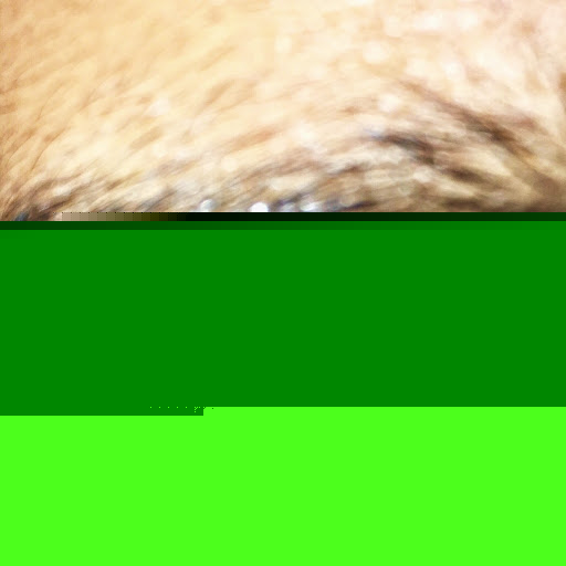 Terry Thomas Photo 38 Terry Thomas Photo 38