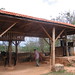Barbara Vasallo Photo 5