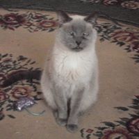 Mary Thelander Photo 3