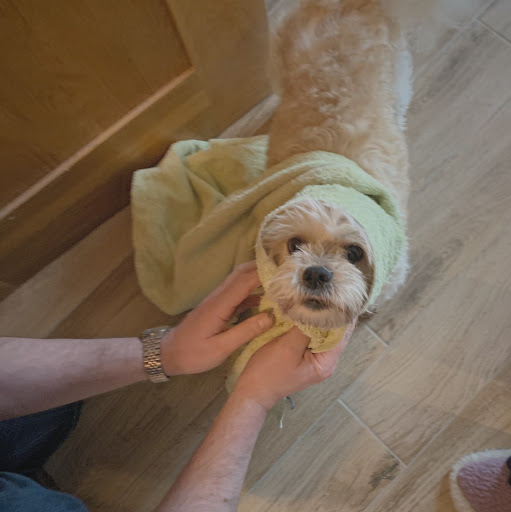 Molly Brady Photo 34