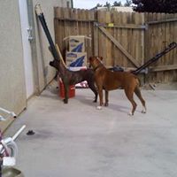 Bruce Tracy Photo 16