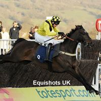 Steven Clements Photo 13