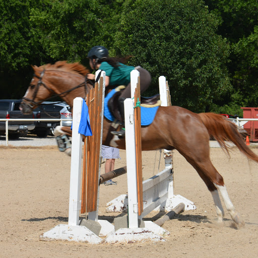Stephanie Hernandez Photo 18