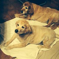 Georgia Robinson Photo 19