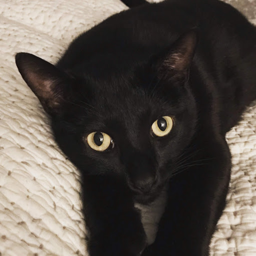 Sally Lee Photo 47 Sally Lee Photo 47