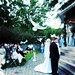 Rebecca Mathews Photo 22