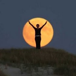 Stephanie Langley Photo 12