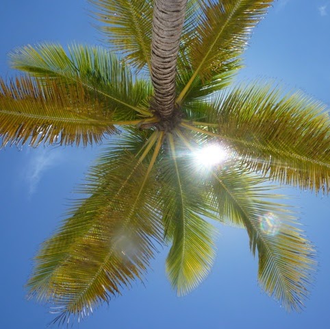 Stephanie Kuhn Photo 35