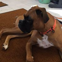 Cheryl Gerhardt Photo 4